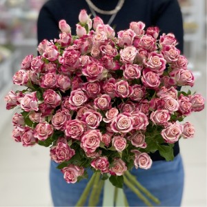 Кустовая розовая роза Флиндерс Лейн